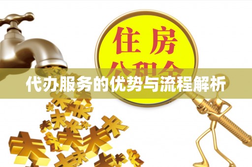 公安代办服务的优势与流程解析
