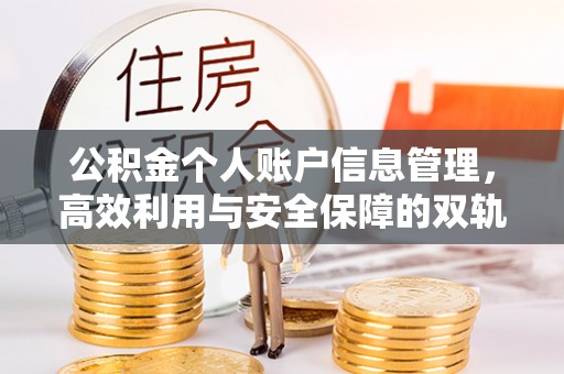 公安公积金个人账户信息管理，高效利用与安全保障的双轨并行