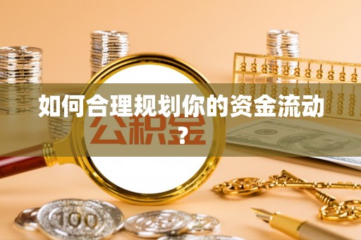 公安如何合理规划你的资金流动？