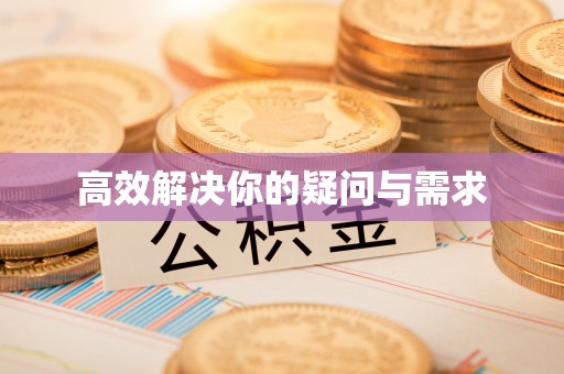 公安高效解决你的疑问与需求