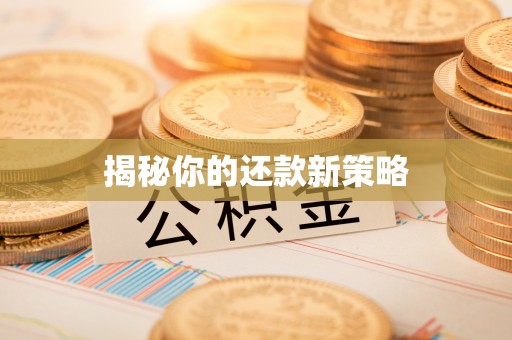 公安揭秘你的还款新策略