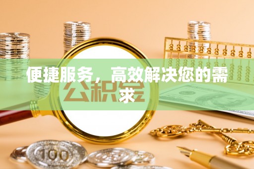 公安便捷服务，高效解决您的需求