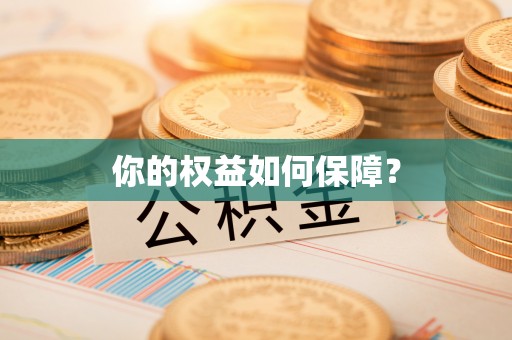 公安你的权益如何保障？