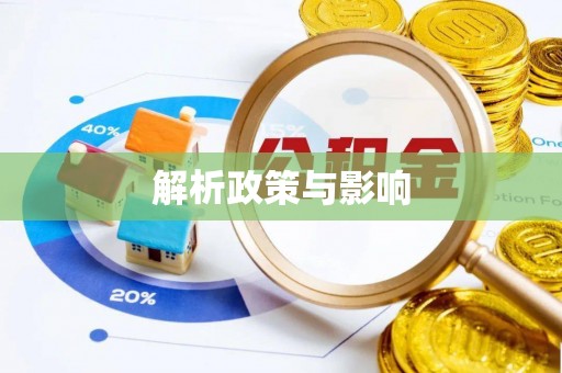 公安解析政策与影响