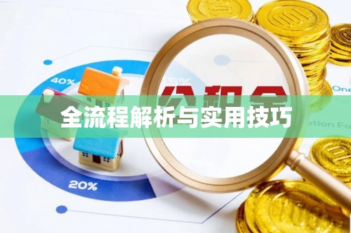 公安全流程解析与实用技巧