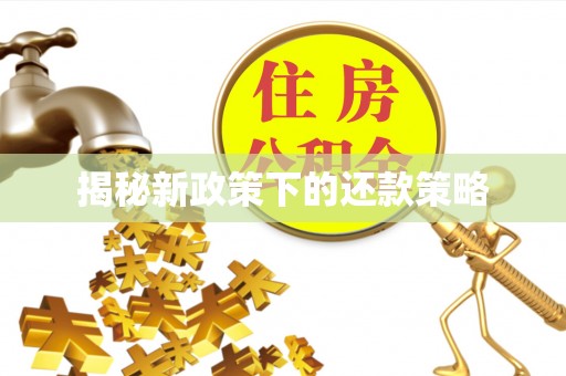 公安揭秘新政策下的还款策略