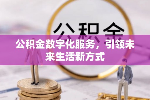 公安公积金数字化服务，引领未来生活新方式