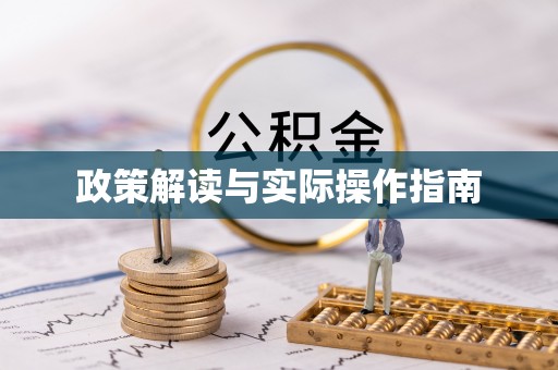 公安政策解读与实际操作指南