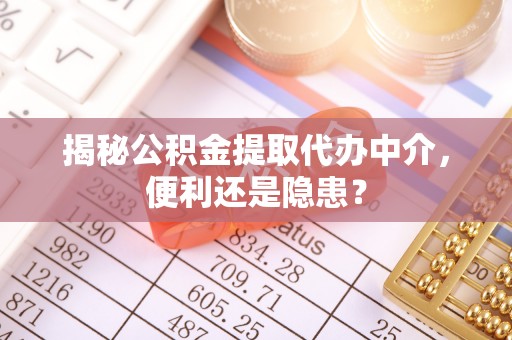 公安揭秘公积金提取代办中介，便利还是隐患？