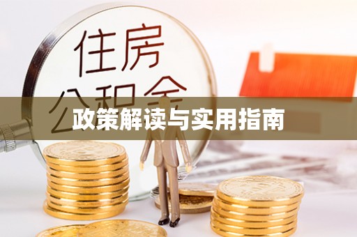 公安政策解读与实用指南