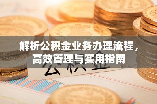 公安解析公积金业务办理流程，高效管理与实用指南
