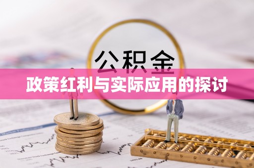 公安政策红利与实际应用的探讨