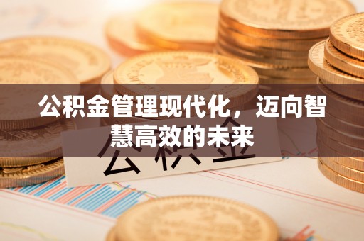 公安公积金管理现代化，迈向智慧高效的未来
