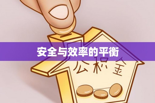 公安安全与效率的平衡