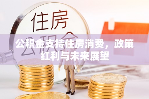公安公积金支持住房消费，政策红利与未来展望