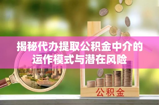 公安揭秘代办提取公积金中介的运作模式与潜在风险