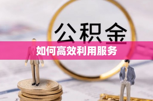 公安如何高效利用服务
