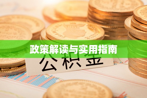 公安政策解读与实用指南