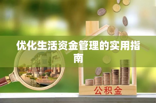 公安优化生活资金管理的实用指南