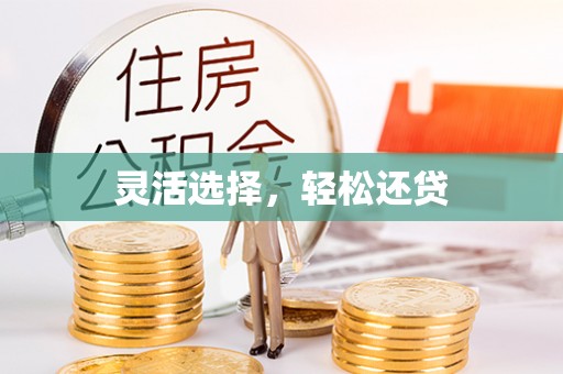 公安灵活选择，轻松还贷