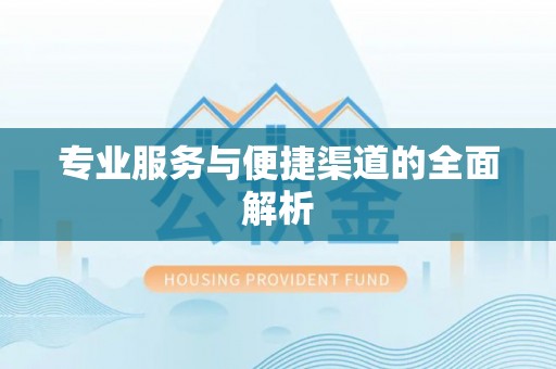 公安专业服务与便捷渠道的全面解析