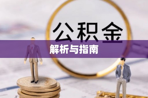公安解析与指南