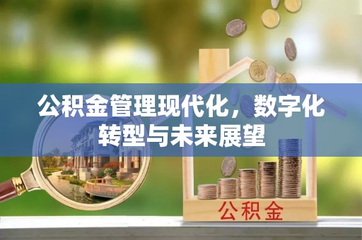 公安公积金管理现代化，数字化转型与未来展望