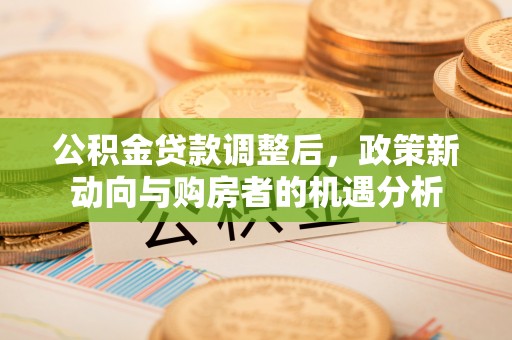 公安公积金贷款调整后，政策新动向与购房者的机遇分析