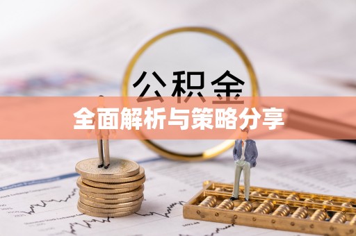公安全面解析与策略分享