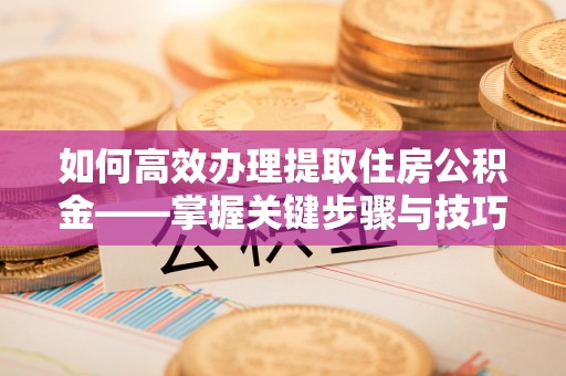 公安如何高效办理提取住房公积金——掌握关键步骤与技巧