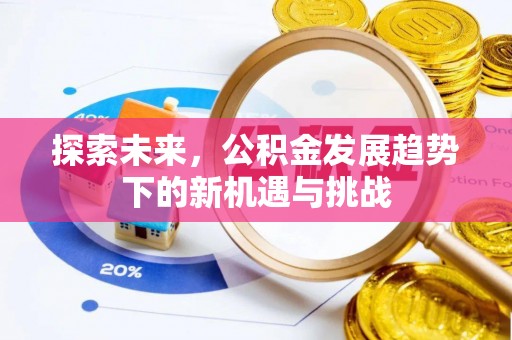 公安探索未来，公积金发展趋势下的新机遇与挑战