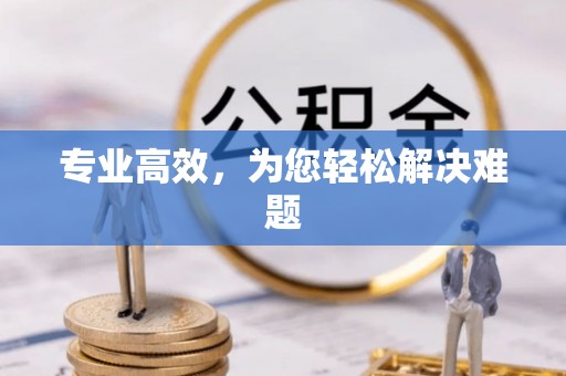 公安专业高效，为您轻松解决难题