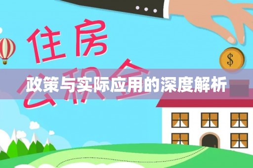 公安政策与实际应用的深度解析