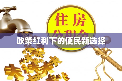 公安政策红利下的便民新选择