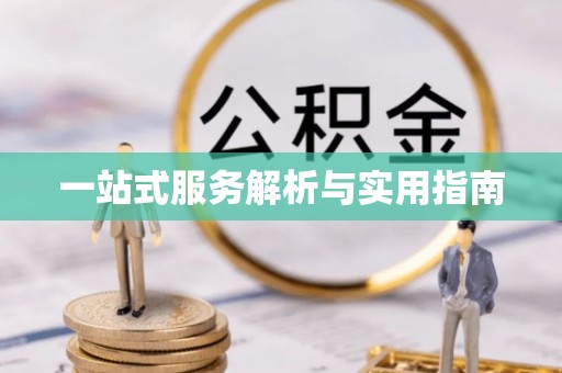 公安一站式服务解析与实用指南