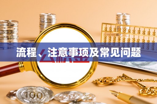 公安流程、注意事项及常见问题