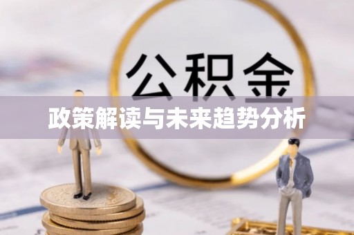 公安政策解读与未来趋势分析