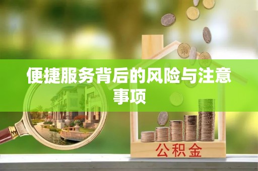 公安便捷服务背后的风险与注意事项